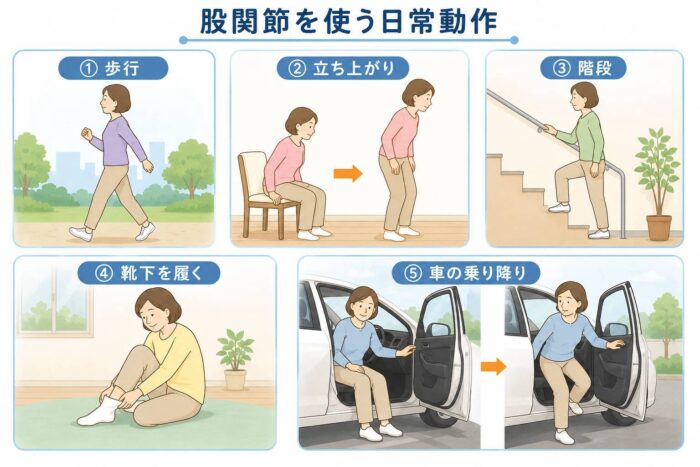 股関節を使う歩行や立ち上がり、階段、靴下を履く動作、車の乗り降りのイラスト